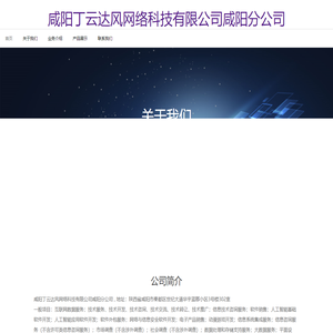 咸阳丁云达风网络科技有限公司咸阳分公司