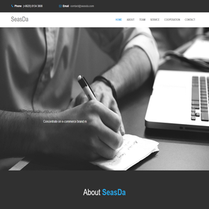 SeasDa - Cross-border e-commerce Brand Operation Expert