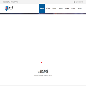 九一游网络科技有限公司